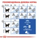 Сухой корм Royal Canin Indoor Long Hair для длинношерстных котов живущих в помещении 2 кг (арт 25490209) - изображение 3