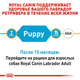 Сухий корм Royal Canin Labrador Retriever Puppy для цуценят породи Лабрадор ретрівер 3 кг (арт 249103019) - зображення 4