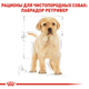Сухий корм Royal Canin Labrador Retriever Puppy для цуценят породи Лабрадор ретрівер 3 кг (арт 249103019) - зображення 5