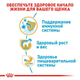 Сухий корм Royal Canin Labrador Retriever Puppy для цуценят породи Лабрадор ретрівер 3 кг (арт 249103019) - зображення 6
