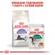 Сухой корм Royal Canin Sterilised 7+ для кастрированных котов и стерилизованных кошек старше 7 лет 1.5 кг (арт 2560015) - изображение 5