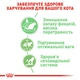 Влажный корм Royal Canin Digest Sensitive Gravy для котов с чувствительным желудком 85 г (арт 4076001) - изображение 4