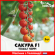 Томат черри Сакура F1, 5 шт - изображение 1