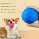 Жувальний м'яч для собак TPR Bouncy Pet Ball, Small red - зображення 5