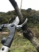 Сучкорез ARS/АРС LPB-30M + фирменная шапка - изображение 3