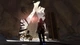 Ключ активации ReCore для Xbox One/Series - изображение 8