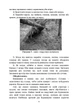 Виживання. Довідковий матеріал для проведення занять в Збройних силах України - изображение 7