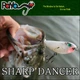 Воблер SHARP DANCER TOPWATER, Wagin Hasu - изображение 2
