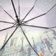 Зонт женский Frei Regen полуавтомат атлас #090734 - изображение 6