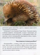 Мами та малюки/Цеханська Олександра / Стрєлков Дмитро/9786176951025 - изображение 3
