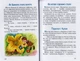 Вогнегривий коник/Сухомлинський Василь/978-617-07-0820-5 - изображение 4