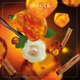 Аромат для лампы Maison Berger Paris Amber Powder 500 мл (115022) (3127291150225) - изображение 3