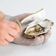 Ніж для устриць TESCOMA PRESTO SEAFOOD (421080) - зображення 3