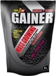 Гейнер для набора массы Power Pro Gainer 1 кг Лесная ягода (4820231512211) - изображение 1