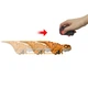 Фигурка Динозавр на пульте Атроцираптор Тигр Jurassic World Atrociraptor Tiger Click Tracker Mattel HBD53 - изображение 3