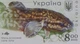 Блок поштових марок НЕПЕРФОРОВАНИЙ «Червона книга України. Прісноводні риби» Укрпошта Україна 2019 - зображення 12