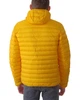 Куртка чоловіча CIESSE PIUMINI (223CFMJ00062-N021D0-6019XP/23-24) Жовтий 52 - зображення 8