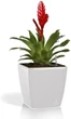 Вазон Plastkon Quadrato Flower Lover 25 x 25 x 24 см с оросительной системой Белый (8595096980906) - изображение 3