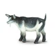 Фігурка Карликова коза Safari Ltd 245129 - зображення 5