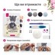 Мишка Латочка / Набор для Вязания Игрушки Крючком / Набор для Творчества Амигуруми / Мишка Вязаный Крюч (6669) - изображение 3