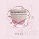 Калимба Hluru Huashu KHPF17 Transparent Pink Sakura Acrylic (17 язычков, акрил) - изображение 6