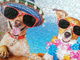 Пазл Tactic Holiday Hounds 500 елементів (6416739583112) - зображення 2