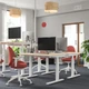 Комп'ютерний стіл з регулюванням висоти IKEA MITTZON 120x80 см березовий шпон/білий (195.139.53) - зображення 5