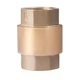 Зворотний клапан Thermo Alliance Forte 1" SF240W25 - зображення 1