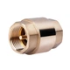 Зворотний клапан Thermo Alliance Forte 1" SF240W25 - зображення 2
