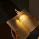 Настольная LED лампа 3 уровня цветов с регулируемой яркостью і аккумулятором Светильник-зажим для чтения Black - изображение 12