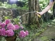 Шланг Karcher Performance plus 5/8 - 25 м - зображення 2