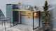 Комп'ютерний стіл Ferrum-decor Дакота 75x120x60 чорний ДСП Дуб Артізан 32мм (DAK2382) - зображення 2