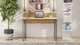 Комп'ютерний стіл Ferrum-decor Скай 75x100x60 сірий ДСП Дуб Артізан 16мм (SKA2062) - зображення 5