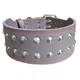 Нашийник для собаки шкіряний з шипами Lockdog, Д 52-62 см, Ш 6 см (ld093_XL) - зображення 1