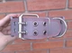 Нашийник для собаки шкіряний з шипами Lockdog, Д 52-62 см, Ш 6 см (ld093_XL) - зображення 4