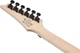 Электрогитара Ibanez RG420EX BKF - изображение 8