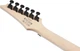 Электрогитара Ibanez RG470DX TMN - изображение 8