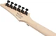 Электрогитара Ibanez RG470DX SFM - изображение 7