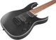 Электрогитара Ibanez RG7421EX BKF - изображение 5