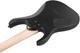 Электрогитара Ibanez RG7421EX BKF - изображение 6