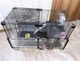 Клетка для хомяка CAGE MULTIPLA HAMSTER BLACK, 72x37x42cm - изображение 3