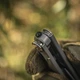 Нож складной M-Tac (5 инструментов) Type 3 Steel 60017102 - изображение 14