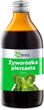 Zagęszczony sok EkaMedica 100% Natural Żyworódka pierzasta 250 ml (5902596671372) - obraz 1