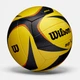 Мяч для пляжного волейбола Wilson AVP ARX Game Volleyball WTH00010XB - изображение 4