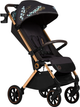 Wózek spacerowy Lionelo Cloe Golden Moments (5903771706940) - obraz 1