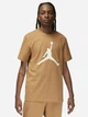 Футболка мужская Nike M J Jumpman Ss Crew CJ0921-231 L Коричневая (196975418879) - изображение 1