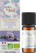 Органічна ефірна олія "Розмарин цинеол" - Born to Bio Aromatherapie 10ml (1267447-34922299) - зображення 2