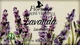 Мыло натуральное "Лаванда" - Florinda Sapone Vegetale Lavanda 50g (375205-31158625) - изображение 1