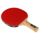 Ракетка для настольного тенниса в чехле Cima Table Tennis Racket Game C300 3 Star - изображение 4