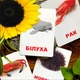 Карточки Домана "Морские жители" на украинском языке, 24 шт - изображение 3